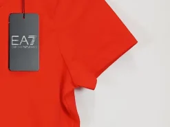 T-Shirt                            Größe                36