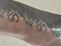 Unterteil                            Größe                42