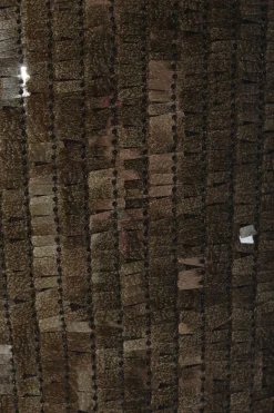 Web Twin Set                            Größe                34